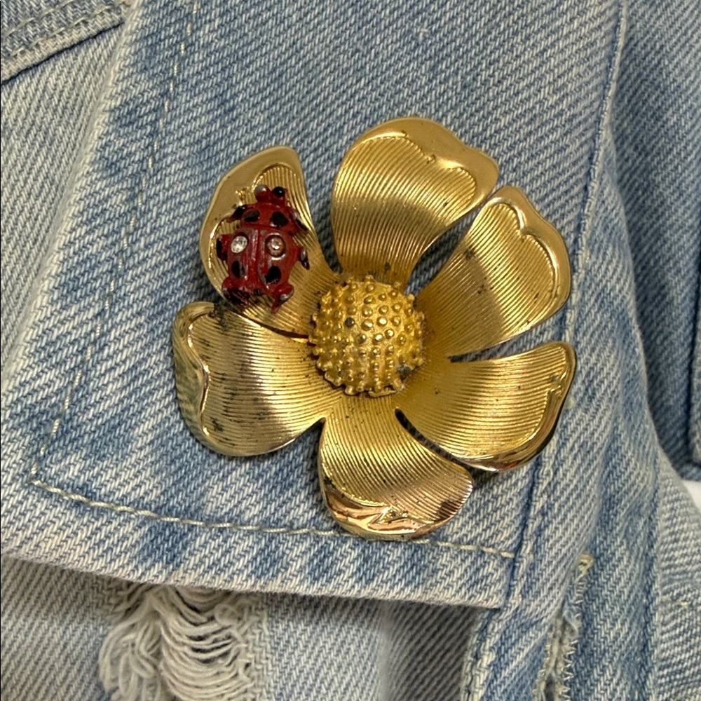 Vintage Beau Jewels Ladybug Brooch – Removable Accent – AS IS - Picture 4 of 6
